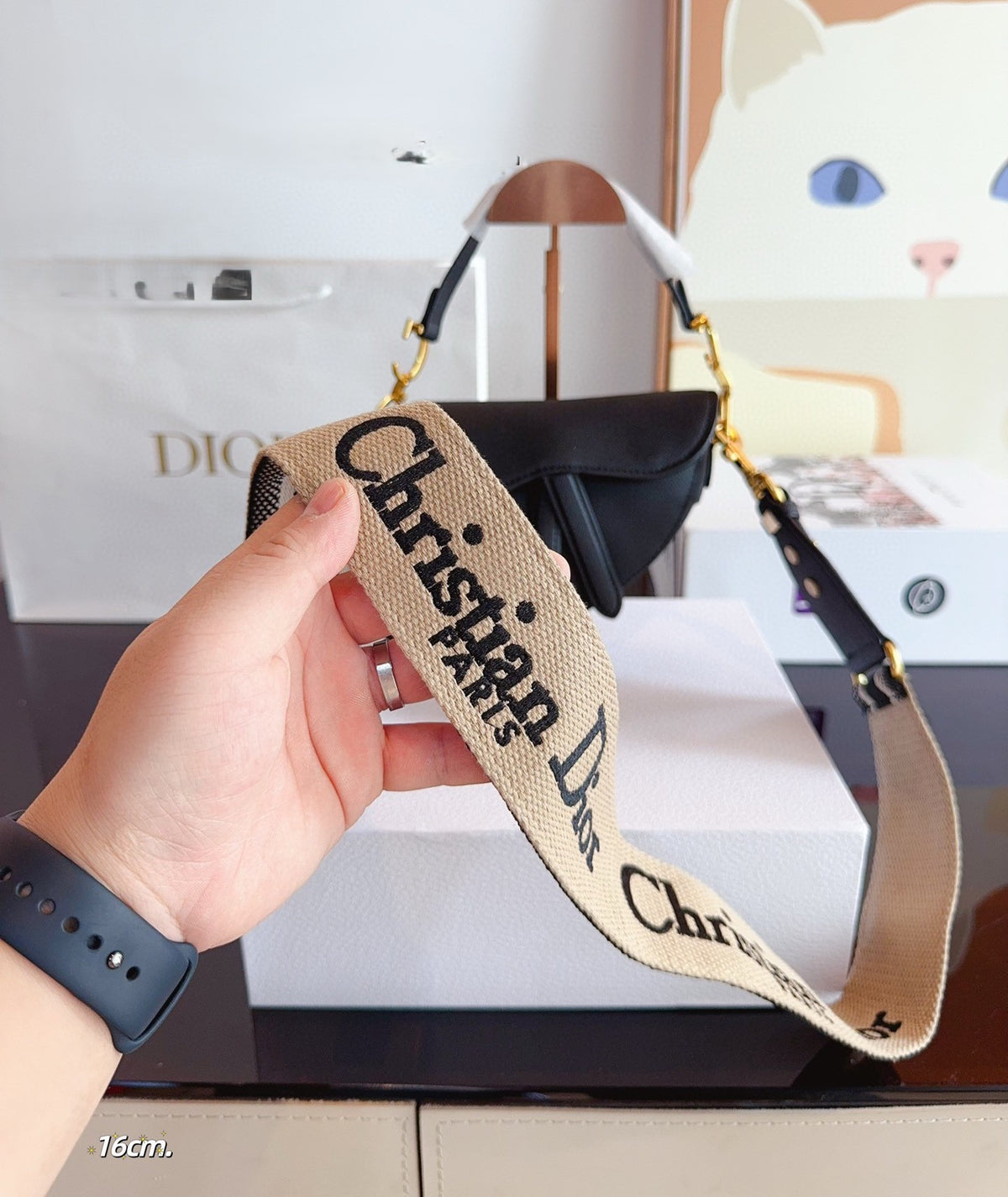 Dior Mini Saddle Bag com alça