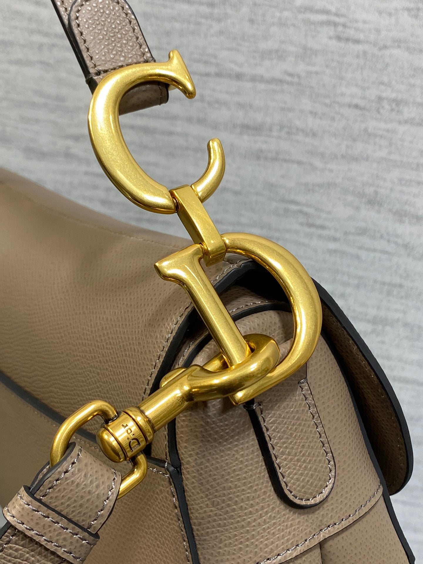 Dior Saddle Bag with Strap