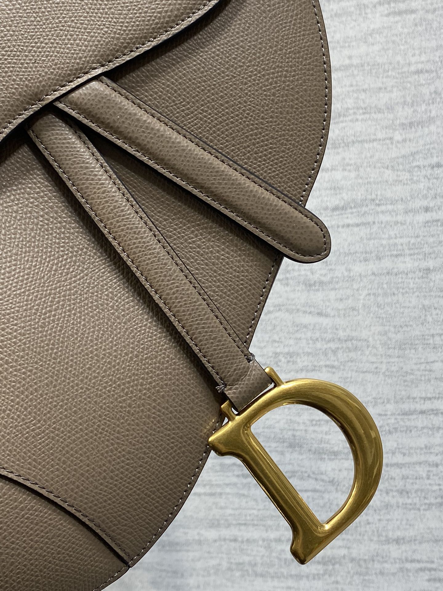 Dior Saddle Bag with Strap