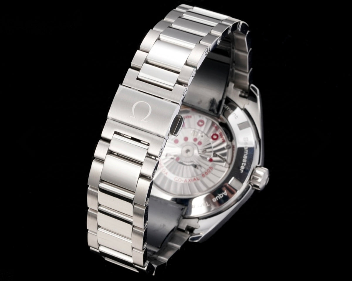 OMEGA SEAMASTER AQUA TERRA GMT GOODPLANET