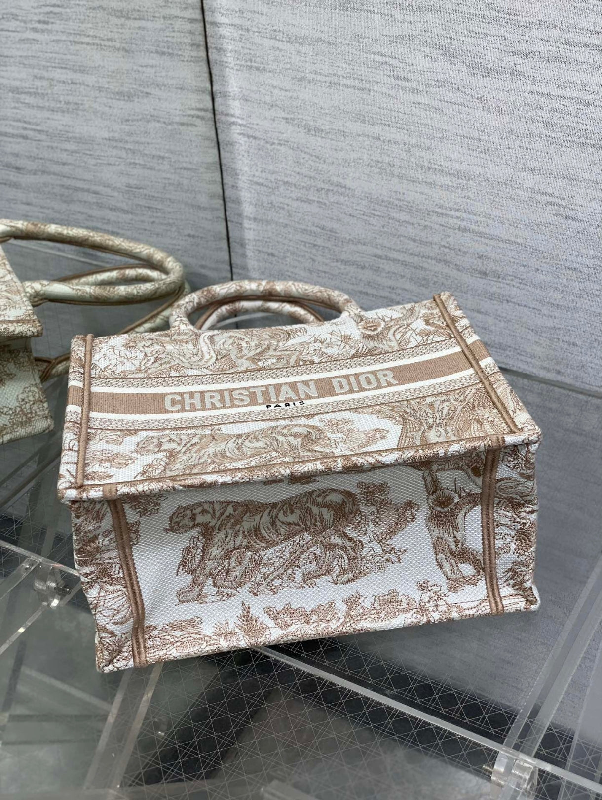 Dior Small Book Tote