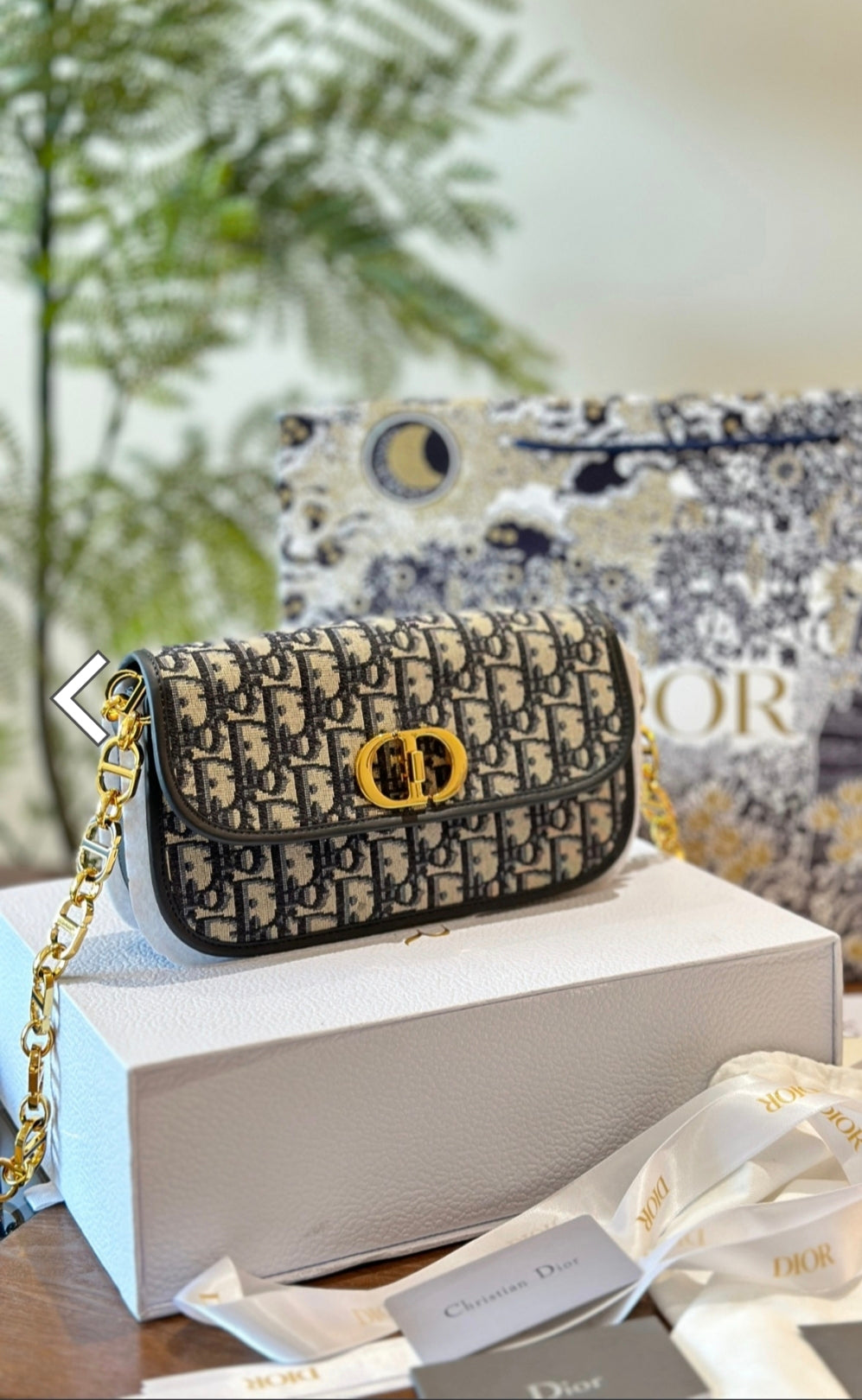 DIOR 30 MONTAIGNE CHAIN BAG – BLUE DIOR OBLIQUE